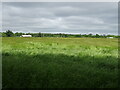 Grassland near Castleman