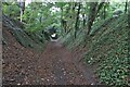 Sunken bridleway coming into Aspenden