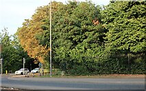TQ7550 : Linton Hill, Loose by David Howard