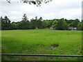 Grassland off Taplow Common Road