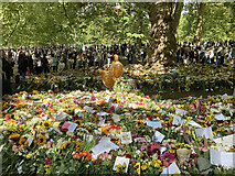 TQ2879 : Floral tributes, Green Park by Stephen Richards