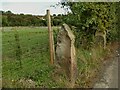 SE3518 : Eroded gatepost by Stephen Craven
