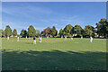 Ashwell: end-of-season cricket