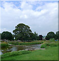 Stepping stones over The River Aire, Gargrave