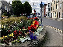 H4472 : Floral display, James Street, Omagh by Kenneth  Allen