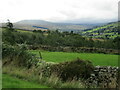 Near Swineside