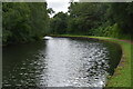 Bridgewater Canal