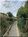 Footpath on the way to Wild Bank Hill