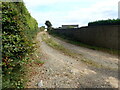 Track leading from the Carrigs Road to the rich farmlands of the reclaimed Corrigs Fen