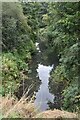 River Stour from the Stourbridge Canal Aqueduct