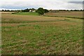 Farmland looking towards Holmes Farm