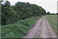 Byway by the Old Bourne to Cutting Hill