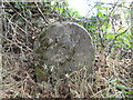 Old Boundary Marker near Park End Cottage, Clee Hill