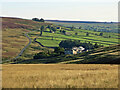 Moorland around Howden Burn above Whitfield Brow