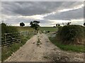 Farm Track off Preston Gubbals Road