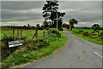 H3479 : Envagh Road, Envagh by Kenneth  Allen