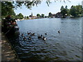 River Thames at Marlow