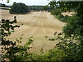 Sloping fields off Mundaydean Lane