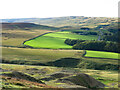 Spoil heaps in the valley of Howden Burn