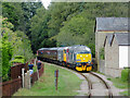 Dean Forest Railway near Whitecroft