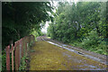 Railway leaving Burnley Central station