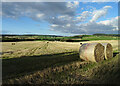 Bales and Shadows