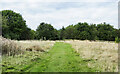 Path through public park in Bradwell district