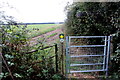 Footpath Gate near Burleaze Farm