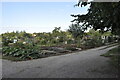 Wilsthorpe Road Allotments, Long Eaton