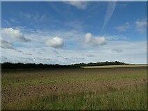 TF8115 : Castle Acre to Harpley (27) by Basher Eyre