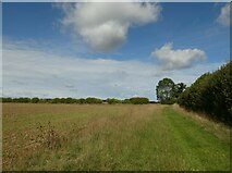 TF8115 : Castle Acre to Harpley (29) by Basher Eyre