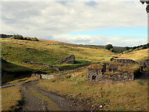 NY8047 : Ruin at Barney Crag Lead Mine by Andrew Curtis