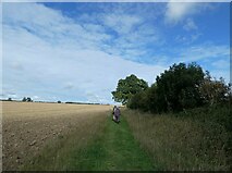 TF8116 : Castle Acre to Harpley (39a) by Basher Eyre