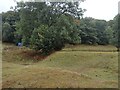 Remains of a Moated Site, Old Radnor