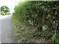 The B5381, Lower Denbigh Road and a milestone