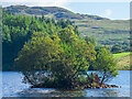 NM8602 : The crannog on Loch Ederline by Patrick Mackie