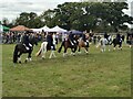 Orchard Portman : Taunton Racecourse - Somerset County Show