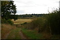 TM0833 : View south down Dazeley's Lane into the Stour valley by Christopher Hilton