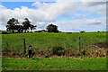 Prolusk Townland