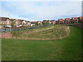 Attenuation pond just off Churchward Drive