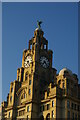 SJ3390 : Liverpool Pier Head: the Royal Liver Building by Christopher Hilton