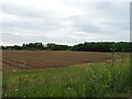 Field off the Lakes End Road (B3026)