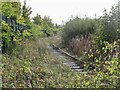 Disused railway, Rosyth