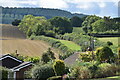 Fields and woodland on the edge of Bishop