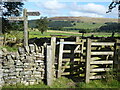 The Pennine Way near Harbut Lodge