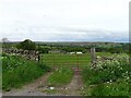 Looking across to Spring Well Farm