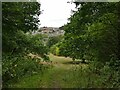 Salford Village Green, Huddersfield