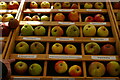 TL5238 : Heritage apples on display at Audley End by Christopher Hilton
