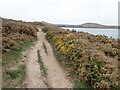 SM7224 : Pembrokeshire Coast Path by Eirian Evans