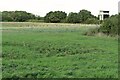 Watch tower and new tree planting by Loefield Grove